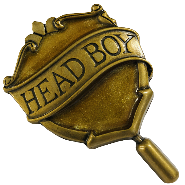 Hufflepuff Head Boy Pin
