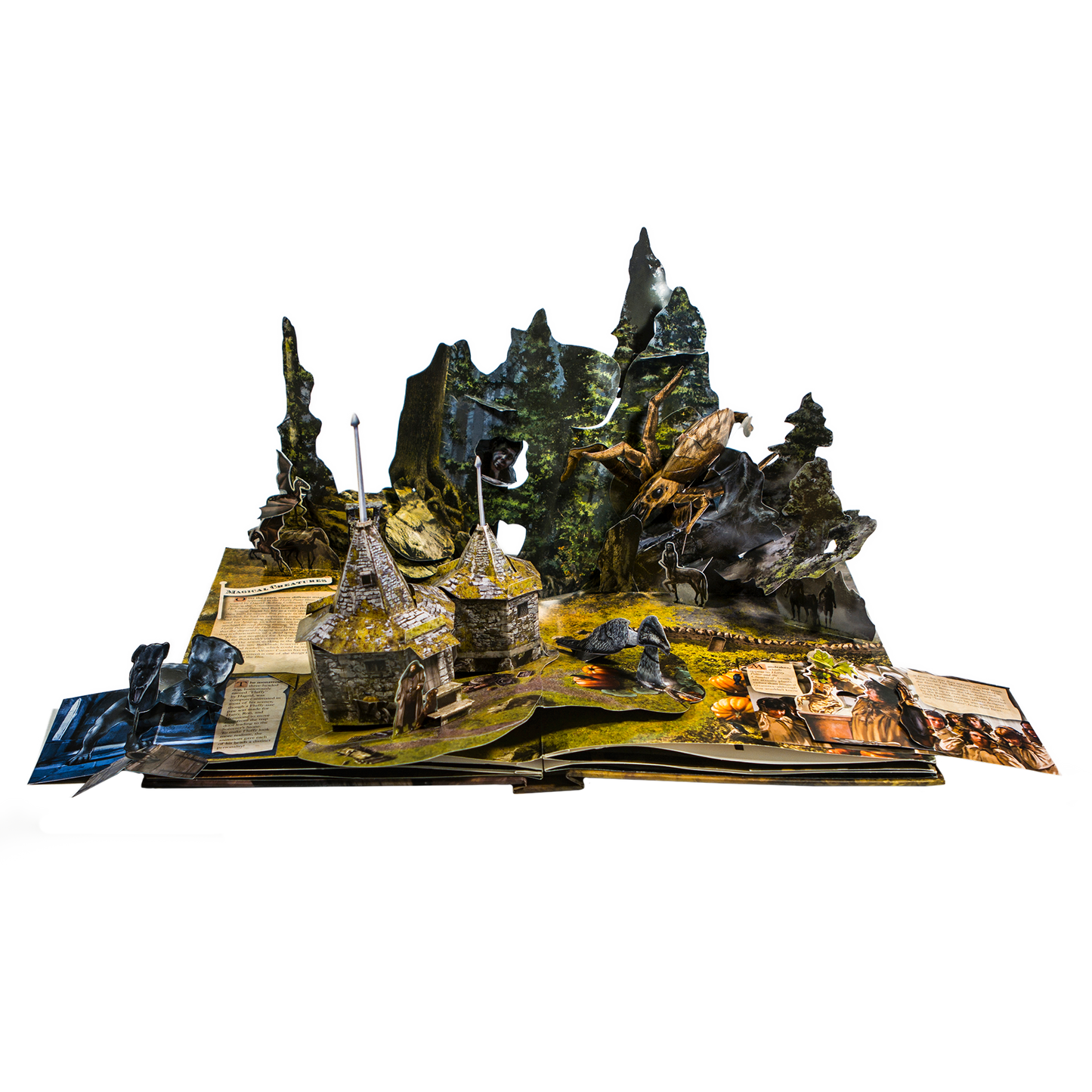Harry Potter: A Pop-Up Book