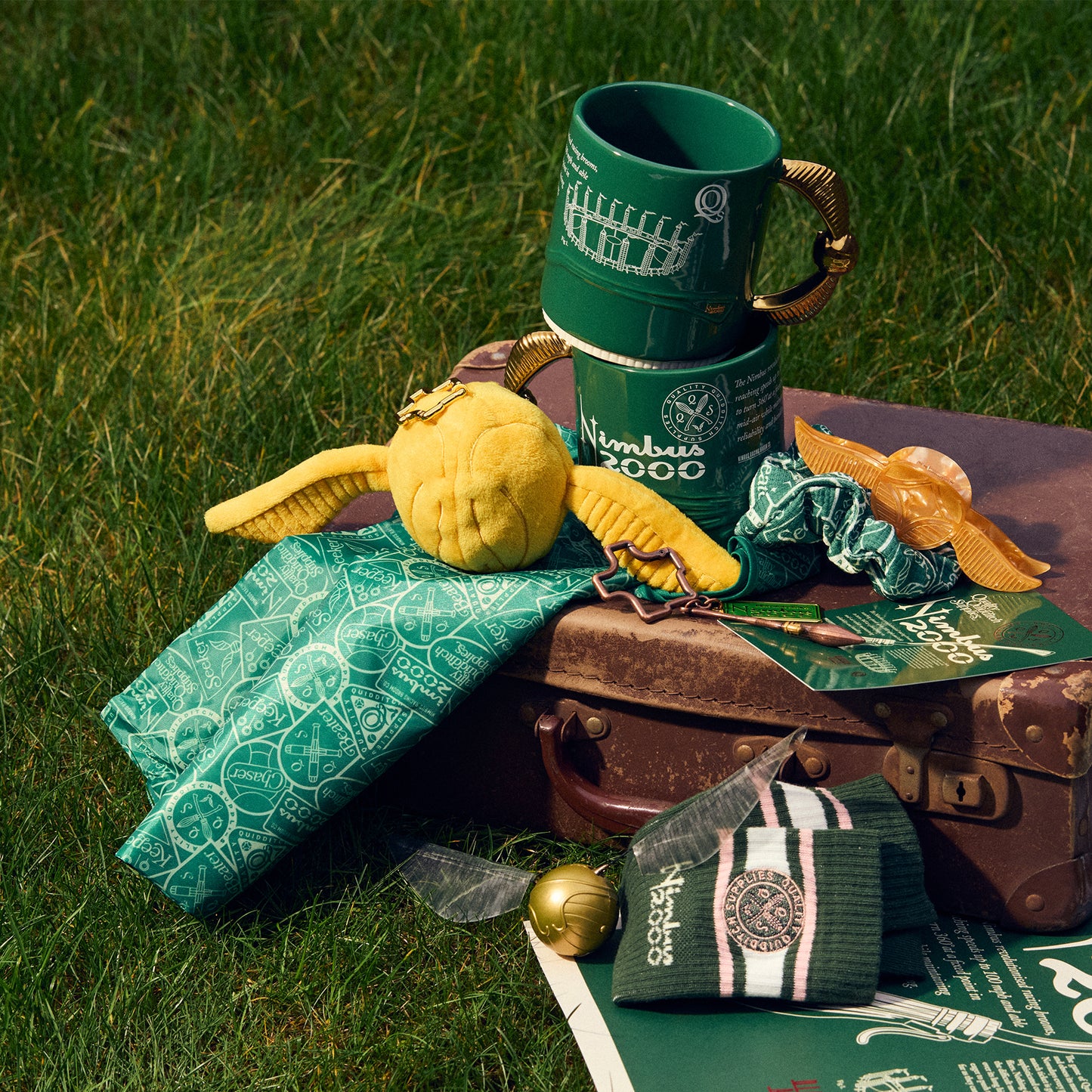 Nimbus 2000 mug with text, Golden Snitch plush, and various Quidditch accessories on grass