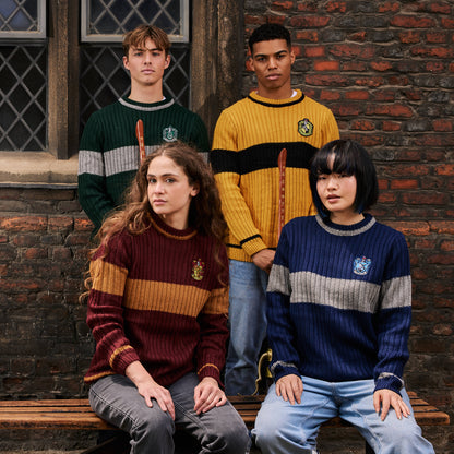 House Quidditch Sweater