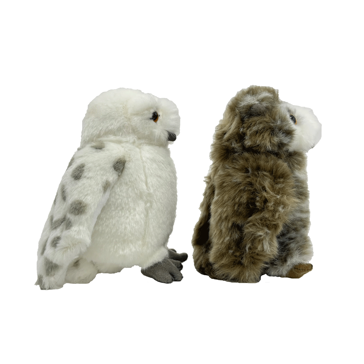 Hedwig and Pigwidgeon Plush Set