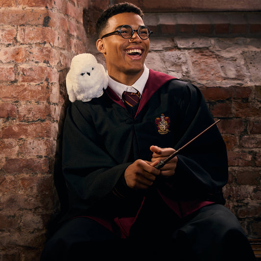 Harry Potter Halloween Set
