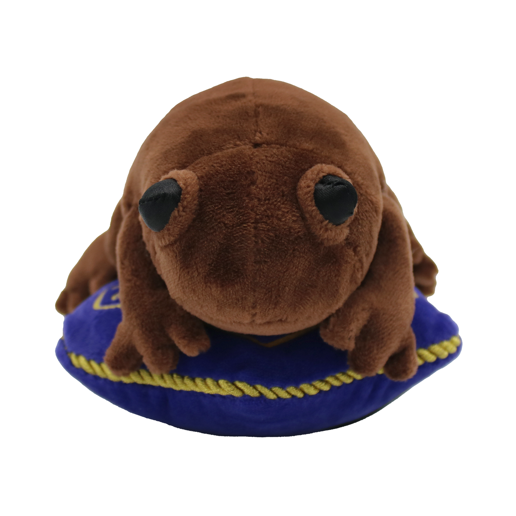 Harry potter chocolate frog plush on sale