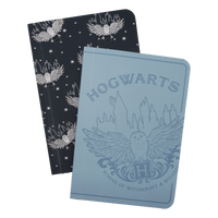 Magical Hogwarts Notebook Set