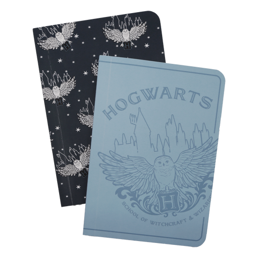 Magical Hogwarts Notebook Set