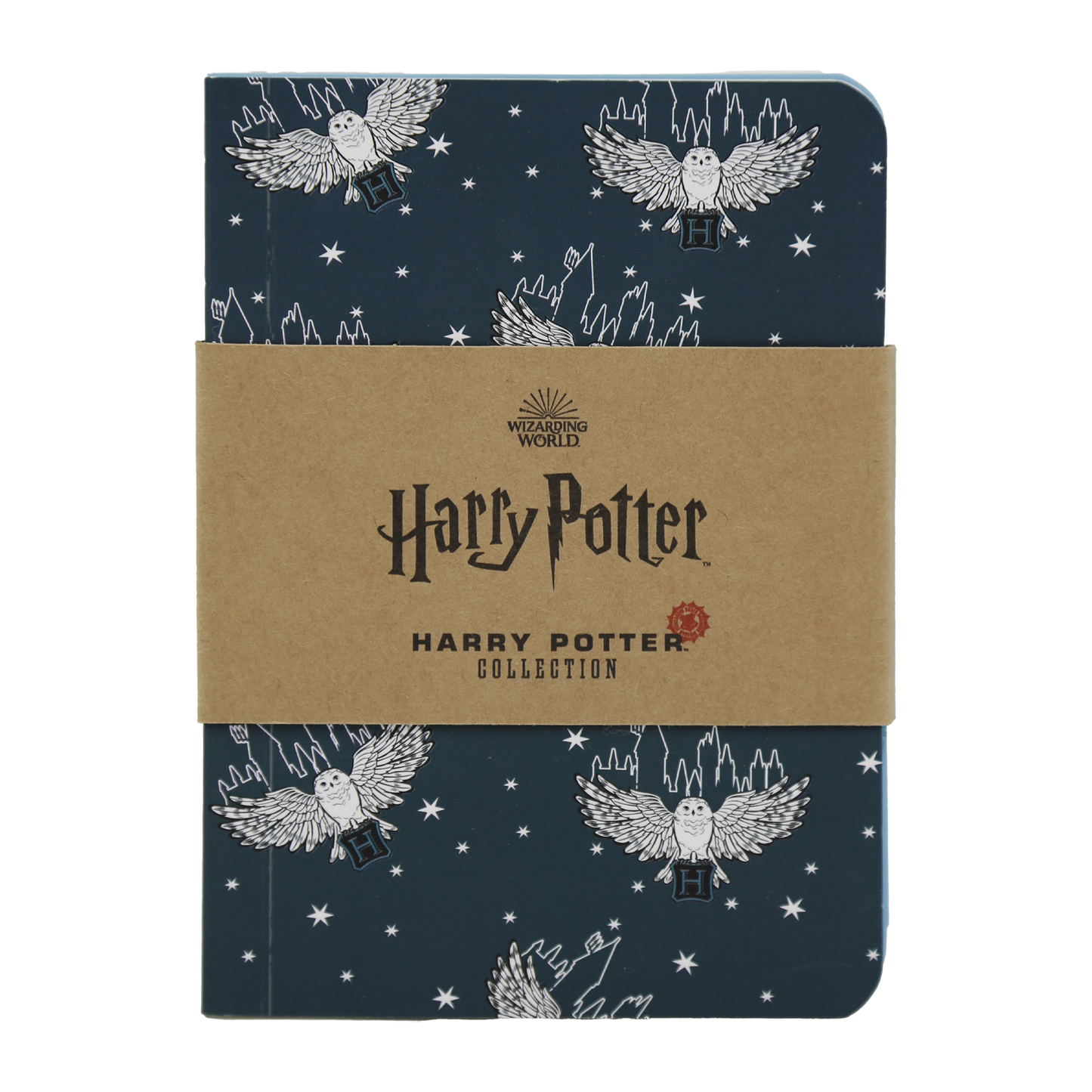 Magical Hogwarts Notebook Set