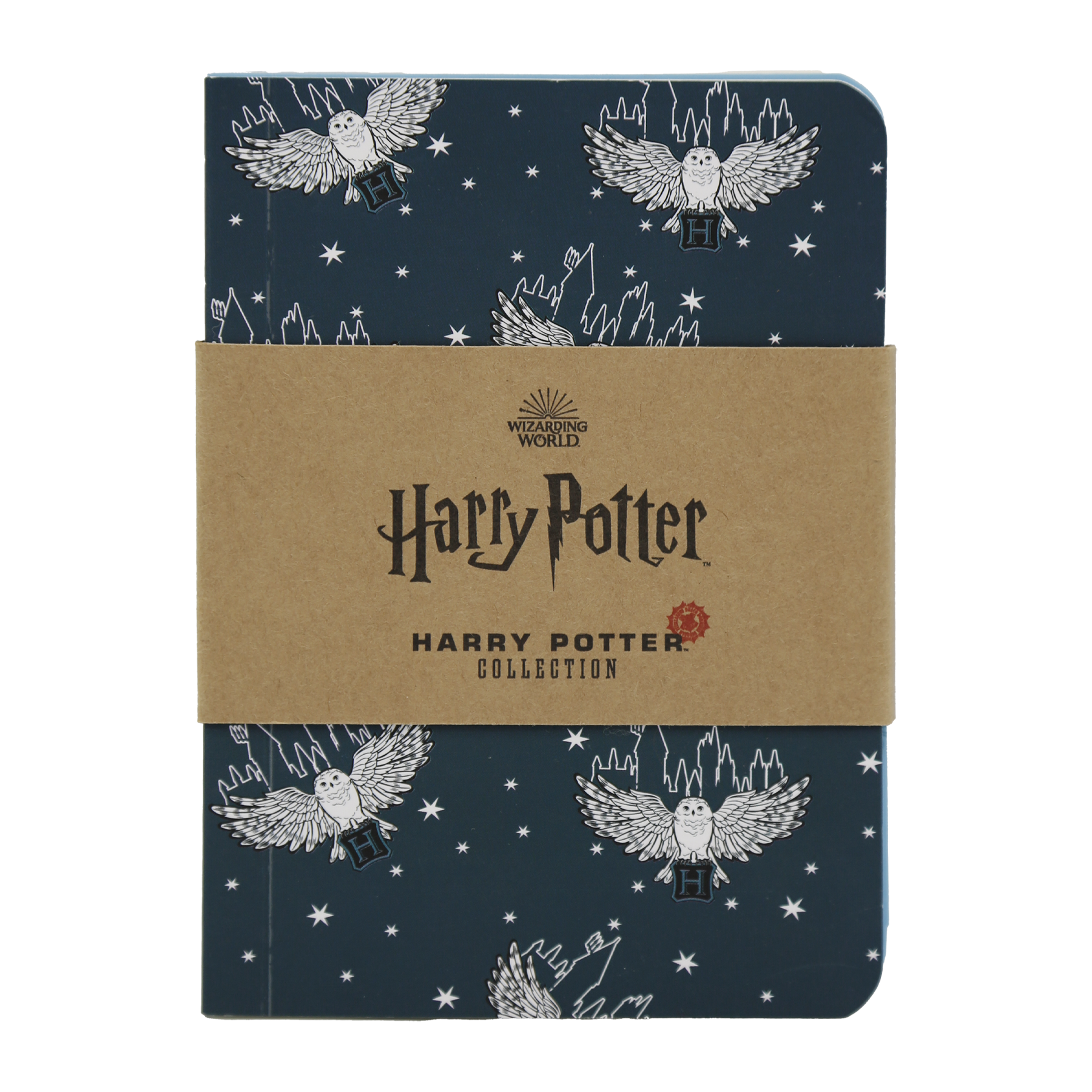 Magical Hogwarts Notebook Set