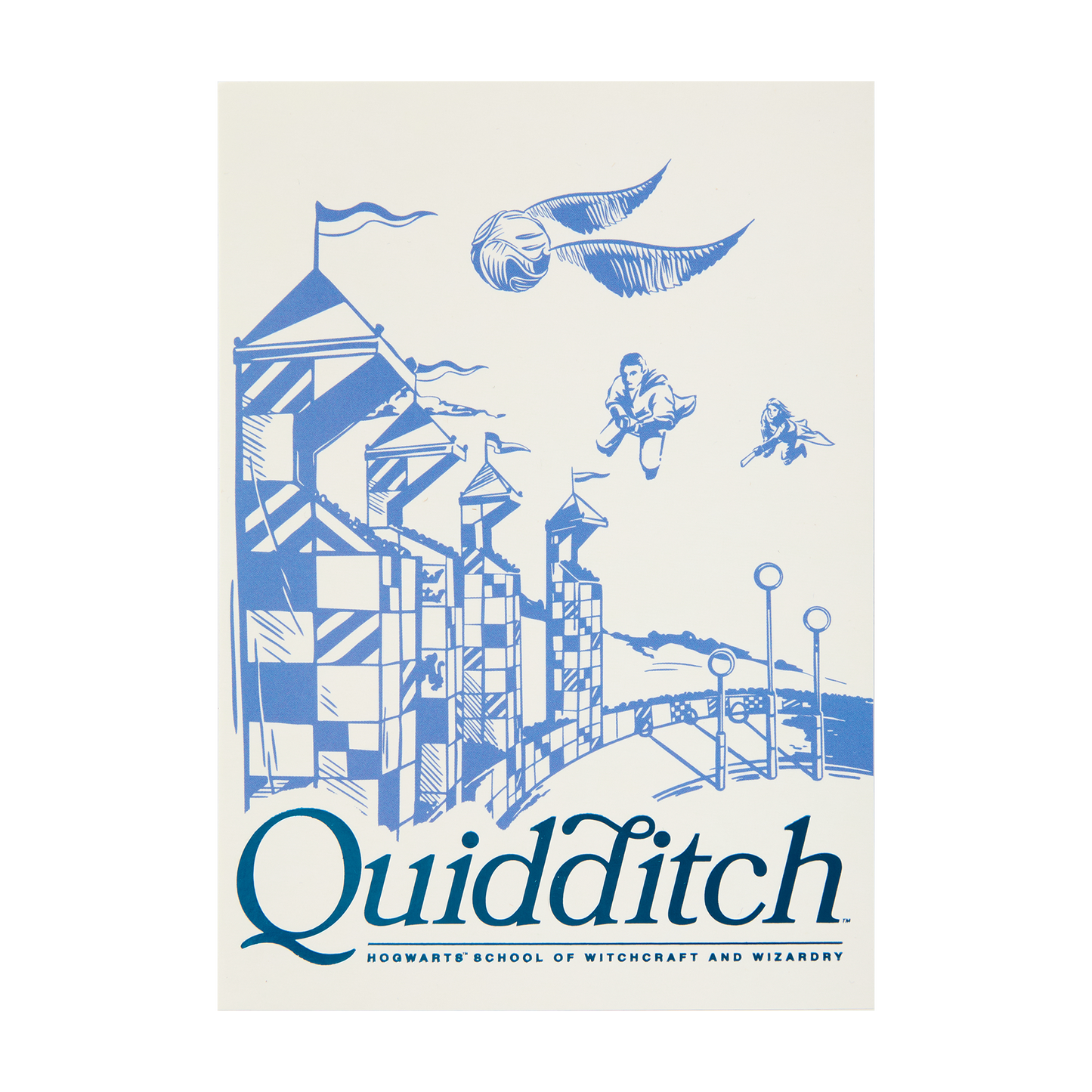Quidditch Foiled Postcard