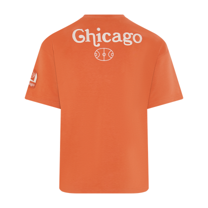 Quality Quidditch Supplies Chicago T-Shirt