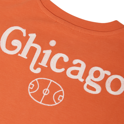 Quality Quidditch Supplies Chicago T-Shirt