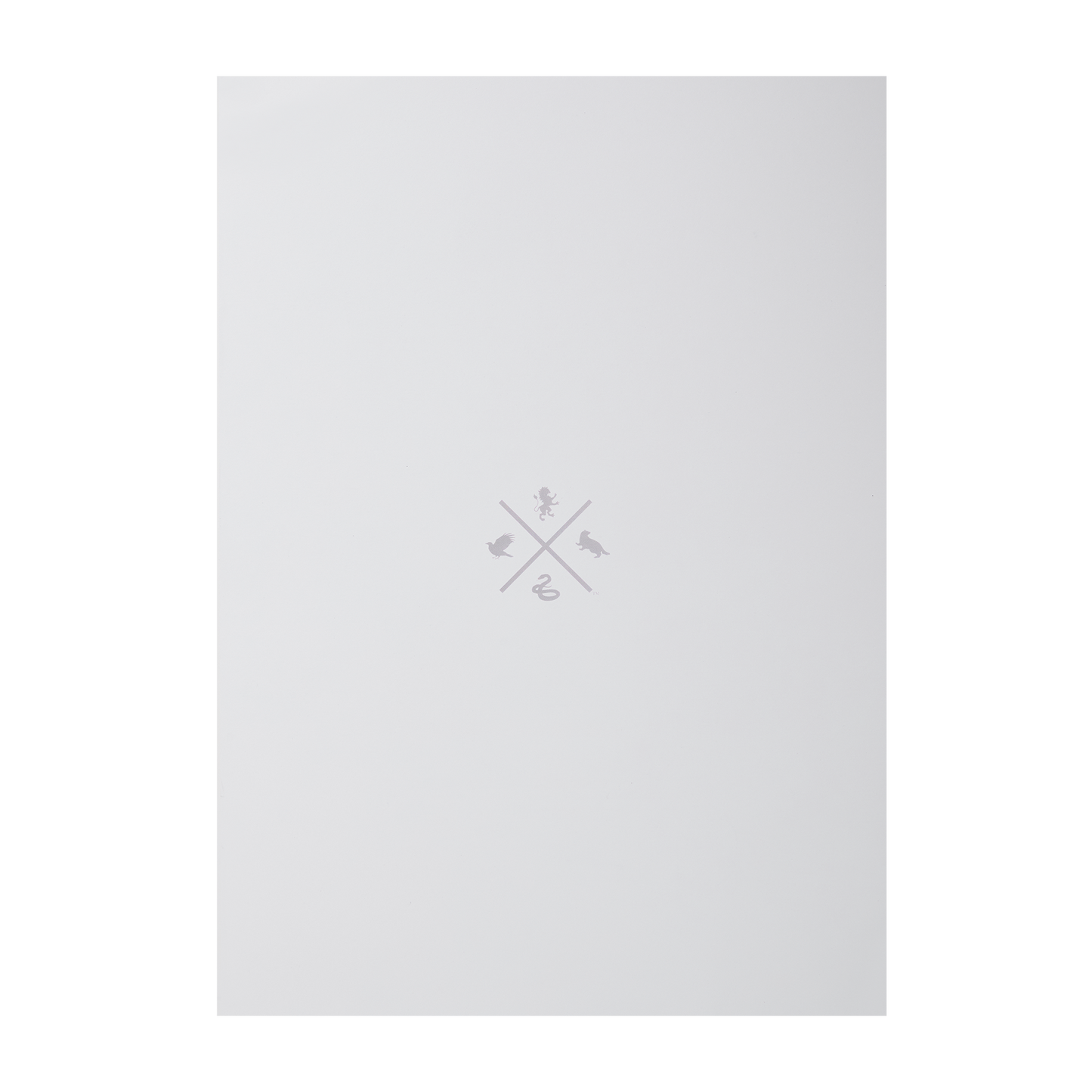 Nimbus 2000 Art Print