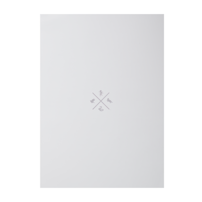 Nimbus 2000 Art Print