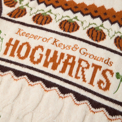 Hagrid's Hut Knitted Sweater