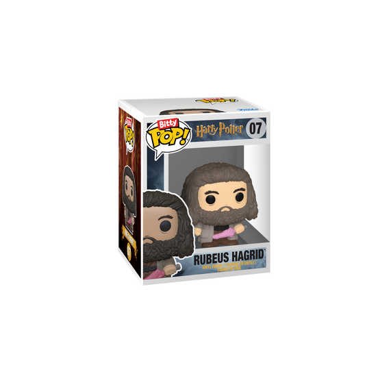 Bitty POP! Hermione 4-Pack