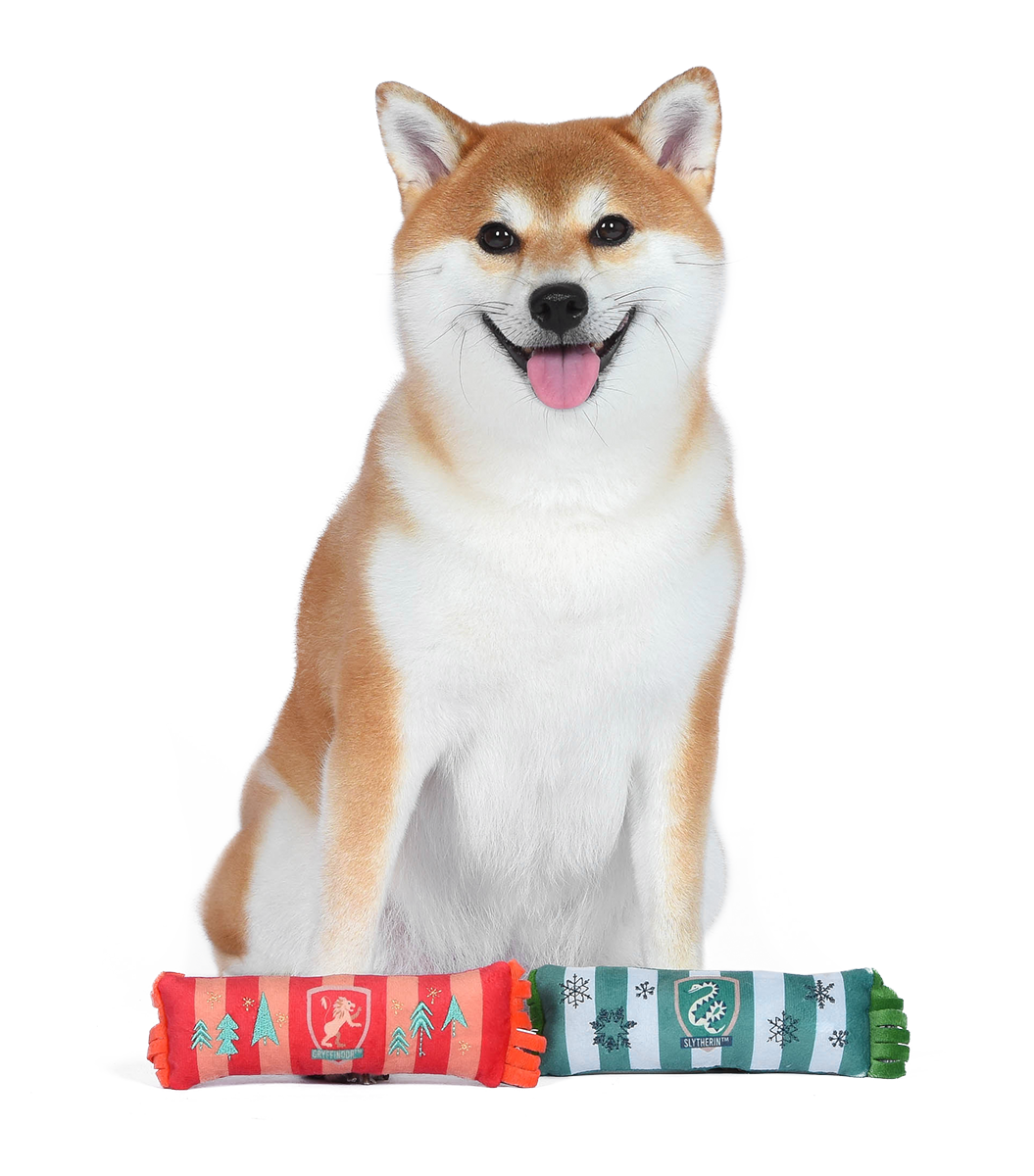 Harry Potter Christmas Scarf Dog Toy Set