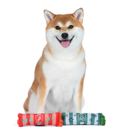 Harry Potter Christmas Scarf Dog Toy Set