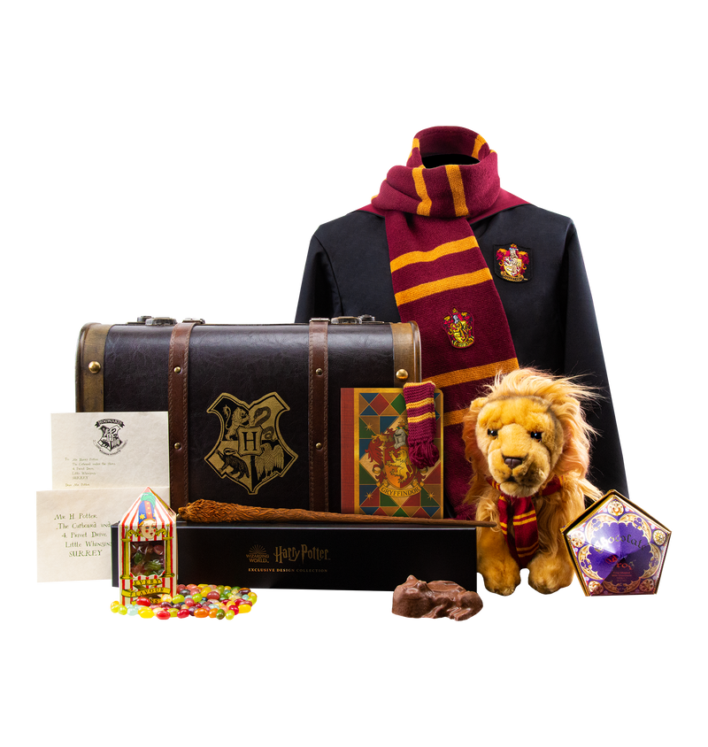 Buy Harry Potter Costume Combo, Official Wizarding World Harry