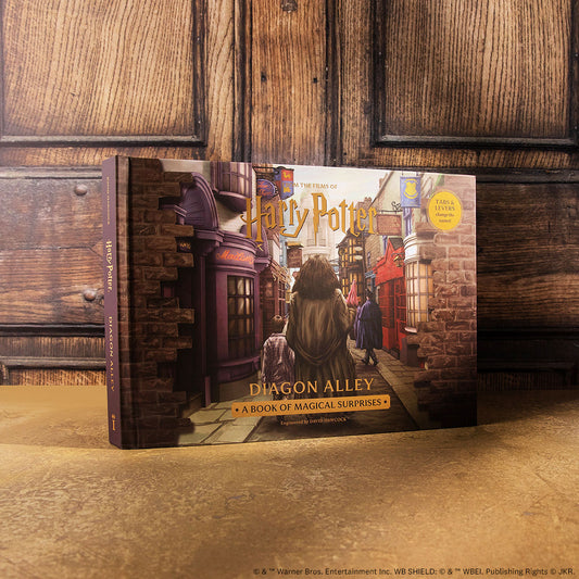 Harry Potter: Diagon Alley Pop-Up Book