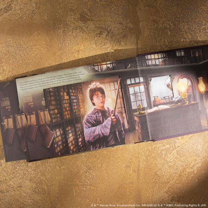 Harry Potter: Diagon Alley Pop-Up Book
