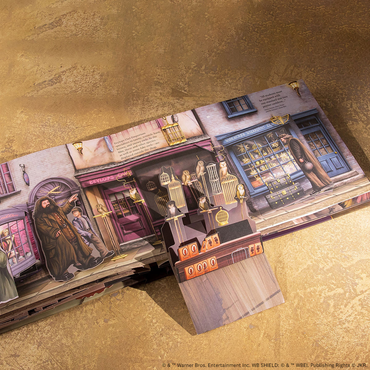 Harry Potter: Diagon Alley Pop-Up Book