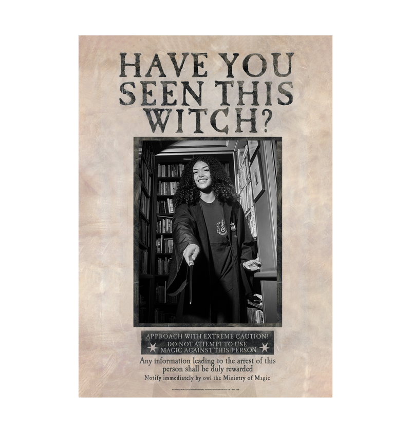 Have You Seen This Witch Personalized Poster