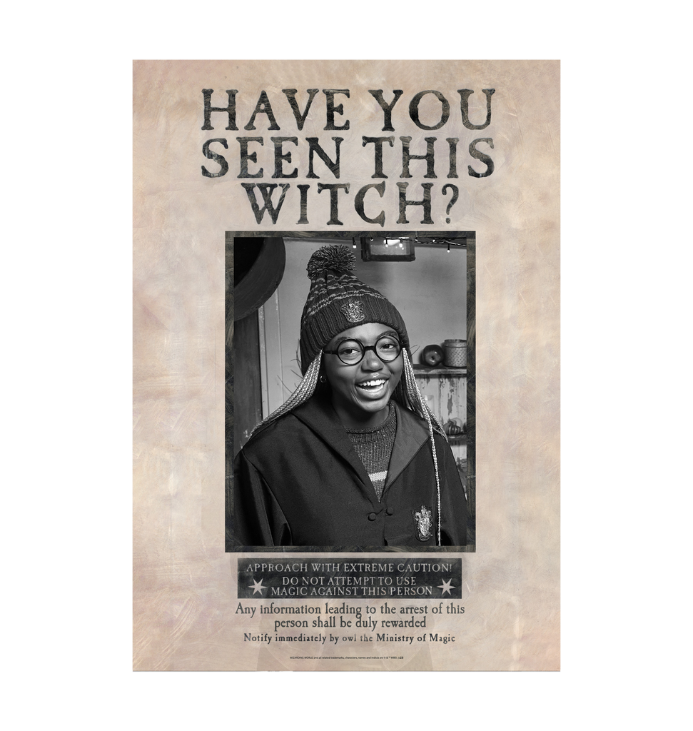 have-you-seen-this-witch-personalized-poster-harry-potter-shop