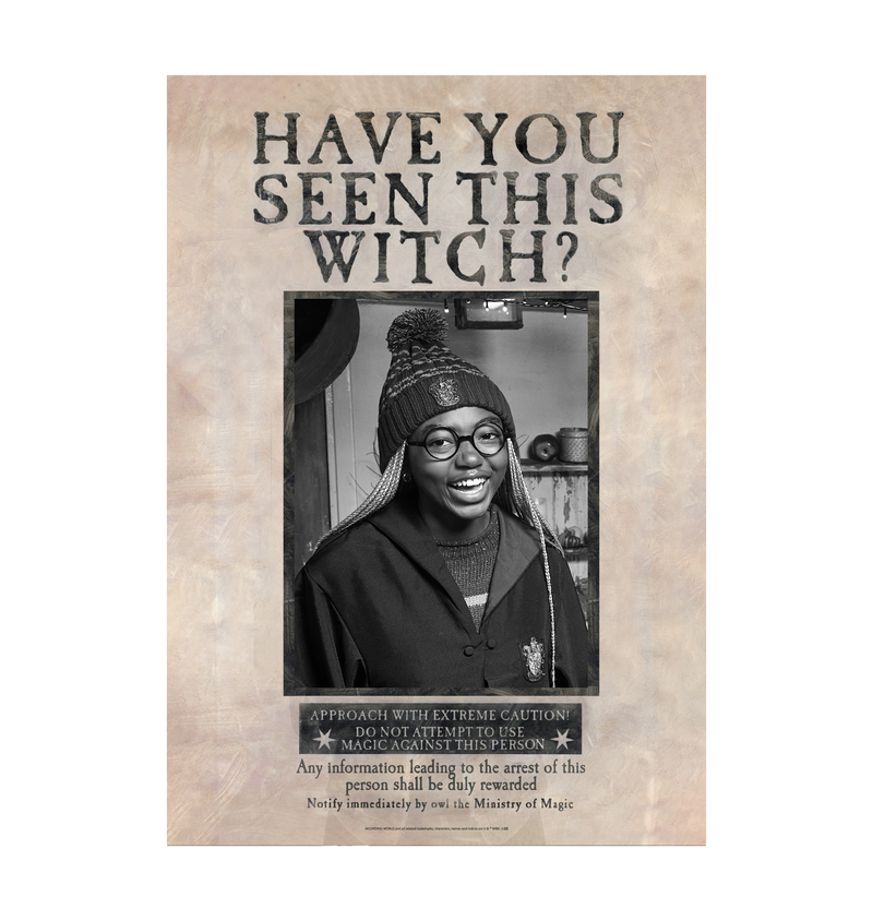 Have You Seen This Witch Personalized Poster