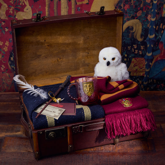 Open trunk with Harry Potter-themed items including a mug, scarf, and plush owl against a tapestry wall.