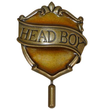 Hufflepuff Head Boy Pin