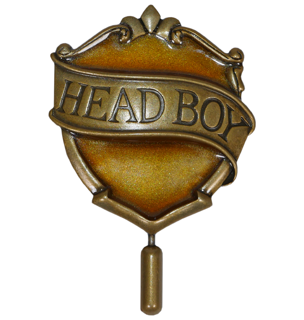 Hufflepuff Head Boy Pin
