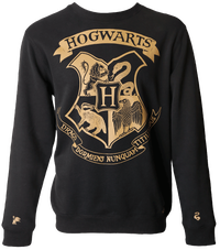 Hogwarts Striped Sleeve Sweatshirt