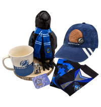 Ravenclaw House Pride Set