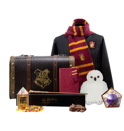 Gryffindor gift box sale