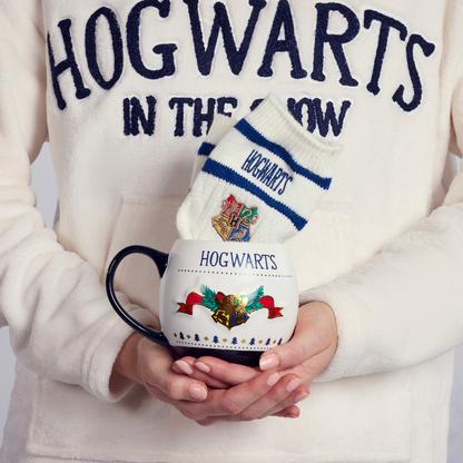Hogwarts in the Snow Mug & Socks Gift Set
