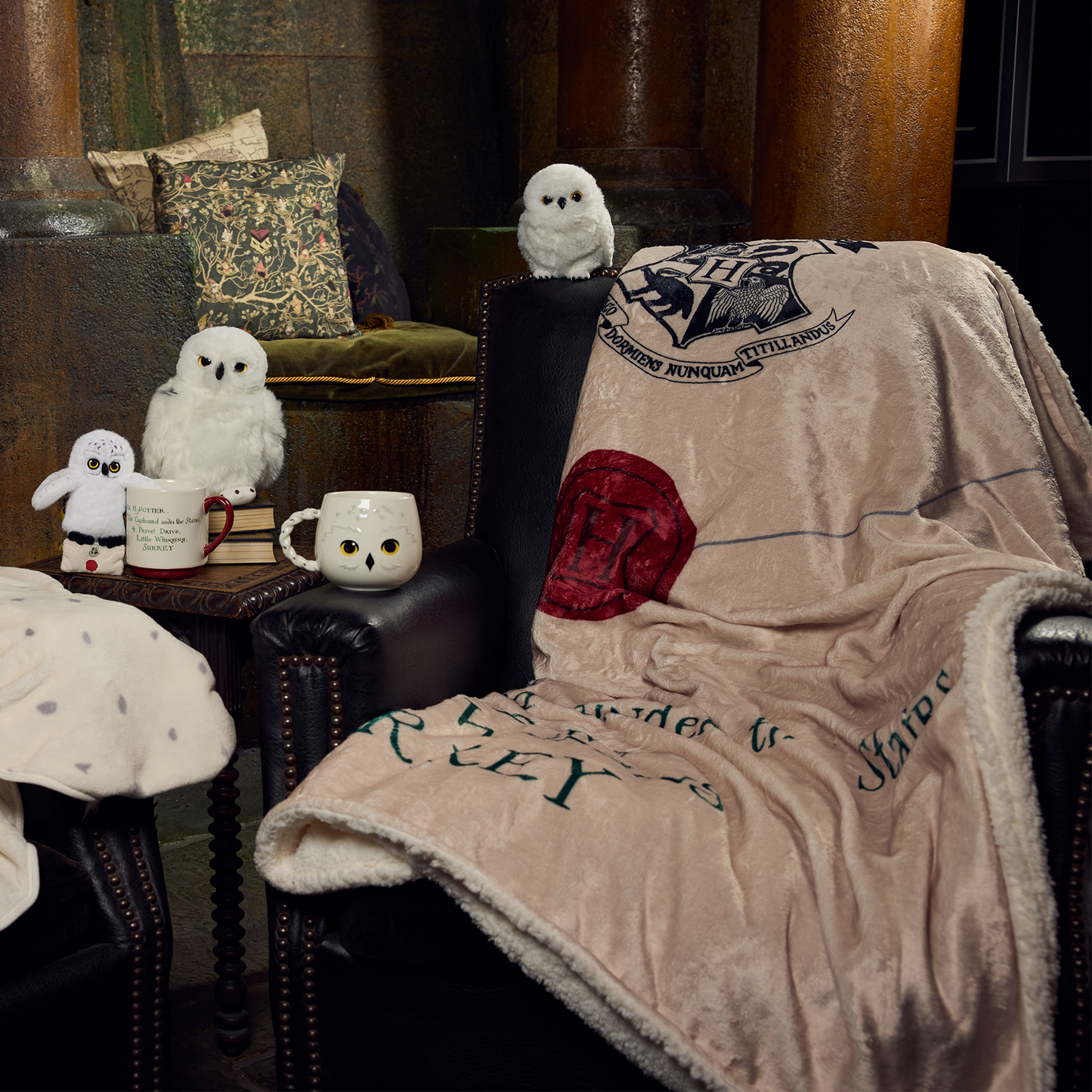 Acceptance Letter Throw Blanket