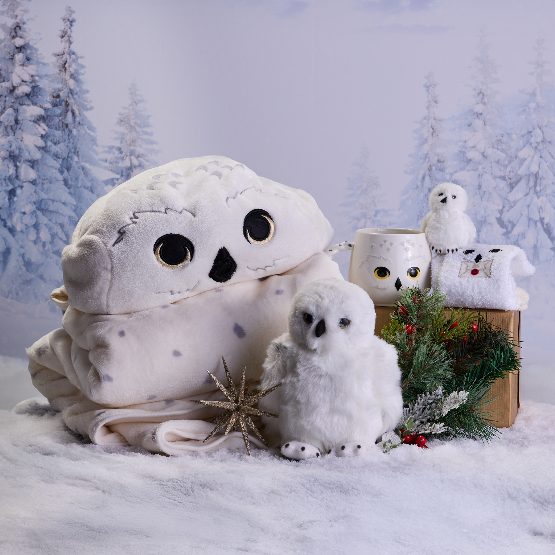 Cozy Hedwig Gift Set