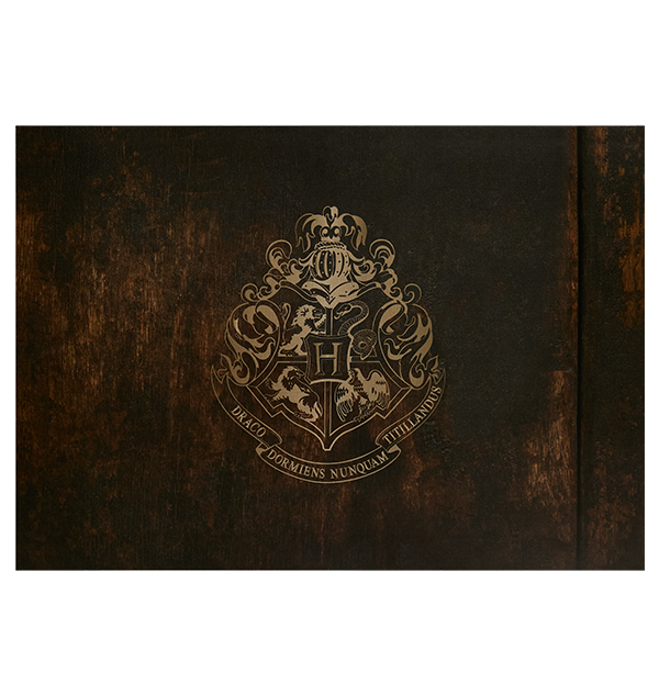 Harry Potter: Hogwarts Acceptance Letter Hardcover Ruled Journal – Books  and Bakery