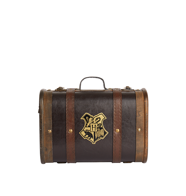 Hogwarts School Trunk Combo Bundle