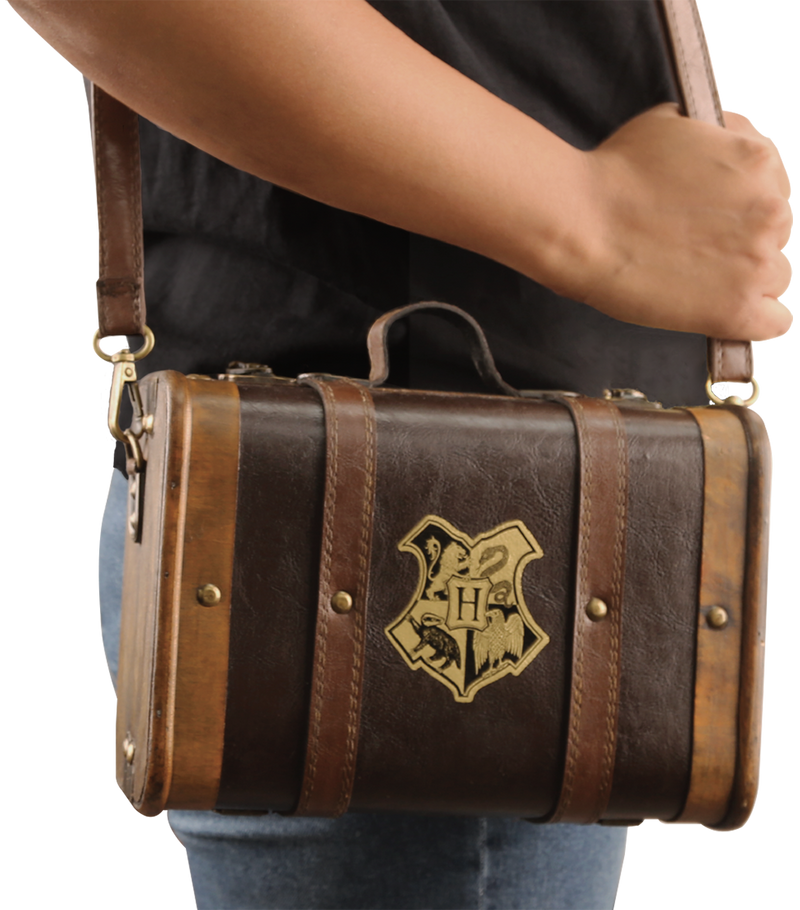 Harry Potter Ravenclaw Mini Trunk Handbag – Circle Of Hope Boutique