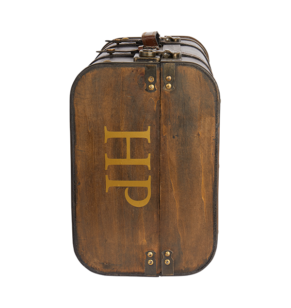 Harry potter trunk luggage online