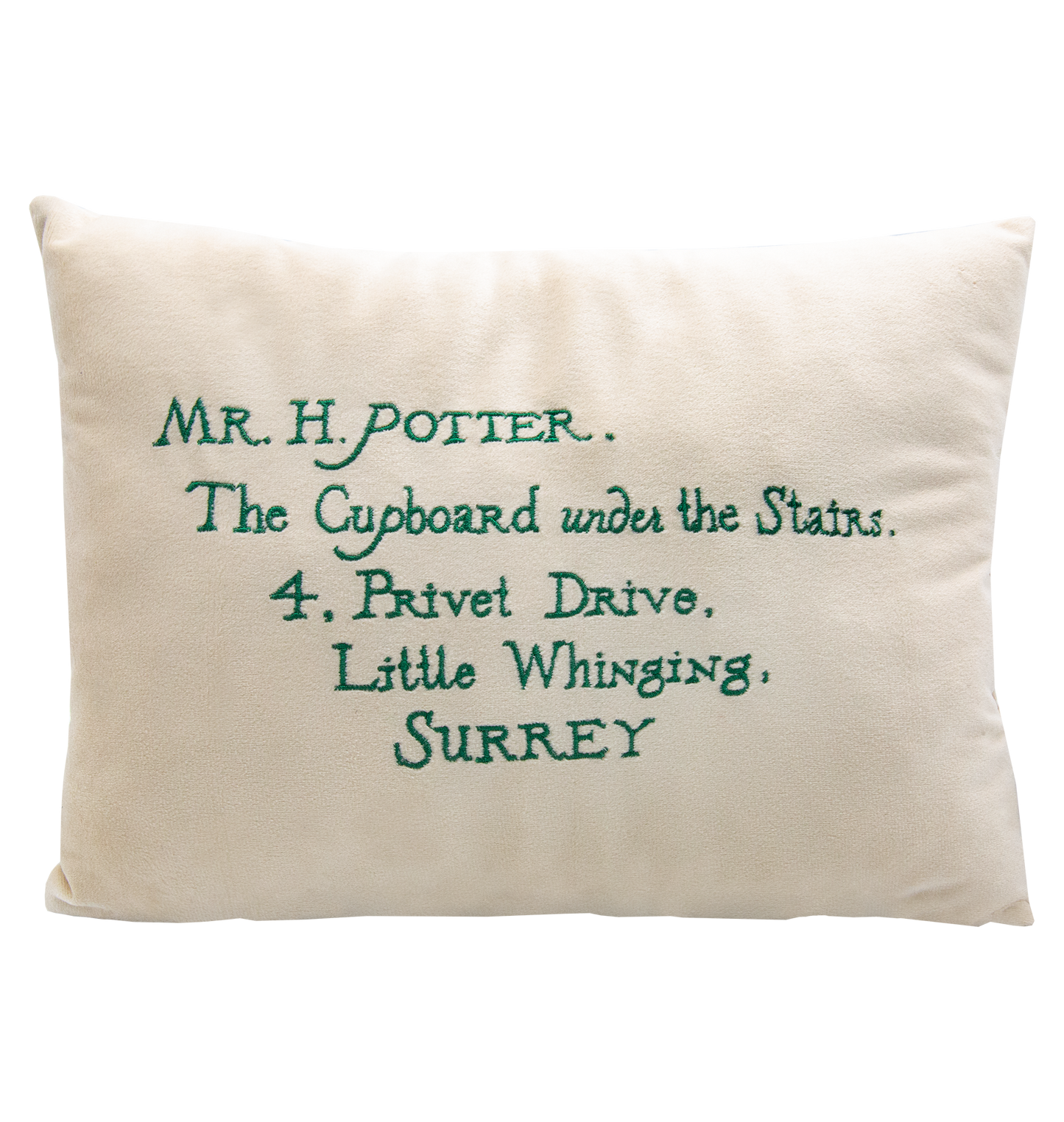 Acceptance Letter Cushion