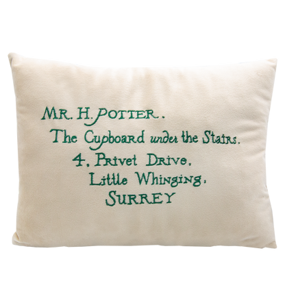 Acceptance Letter Cushion