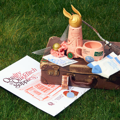 Vintage suitcase with Quidditch-themed items on grass