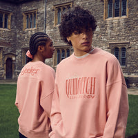 Two people wearing pink 'Quidditch' sweatshirts in front of a stone building.