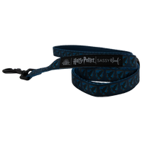 Ravenclaw Pet Leash - Sassy Woof