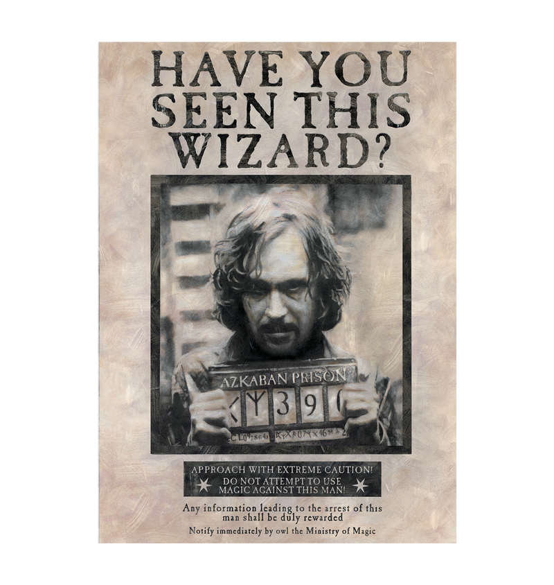 Have You Seen This Wizard Personalized Poster