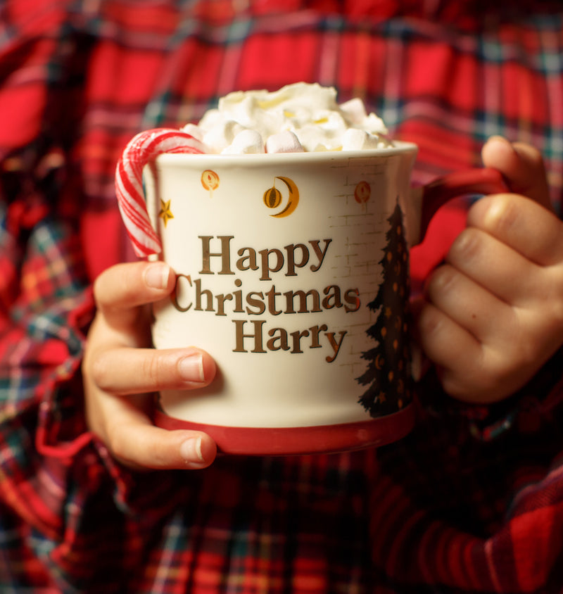 Harry Potter Christmas Mug
