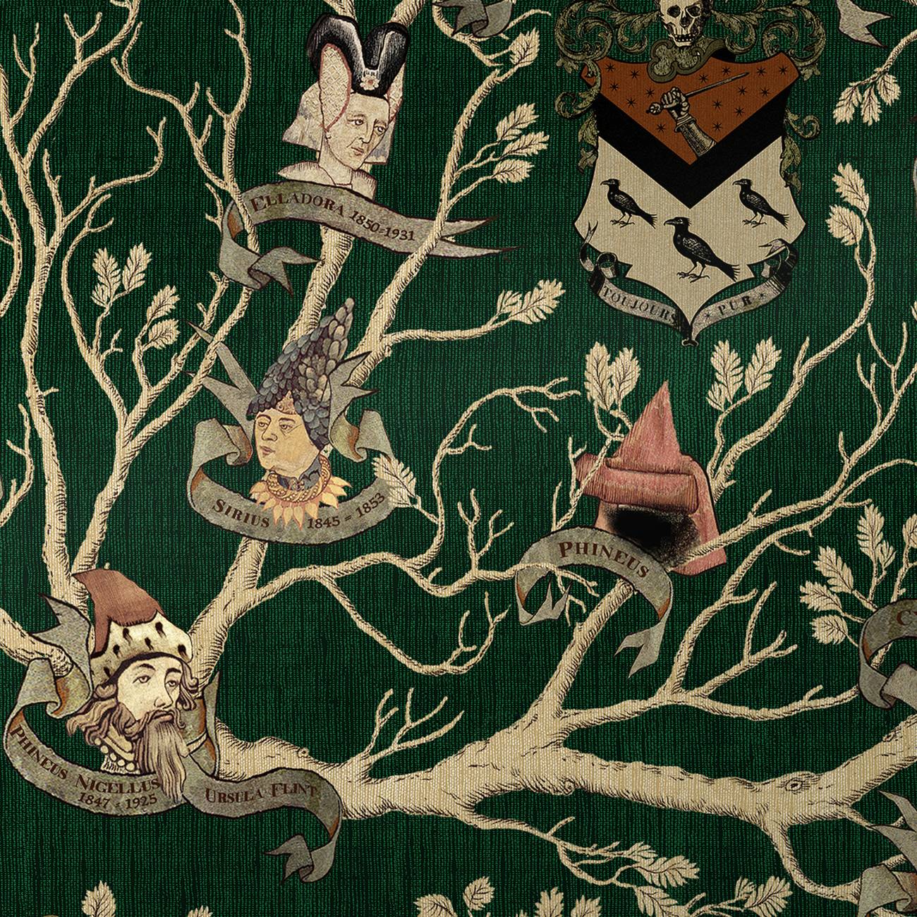 Harry Potter Black Family Tree Black Family Tapestry Greeting Card
