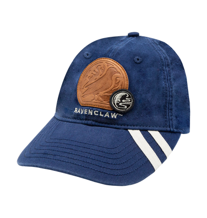 Ravenclaw House Pride Set