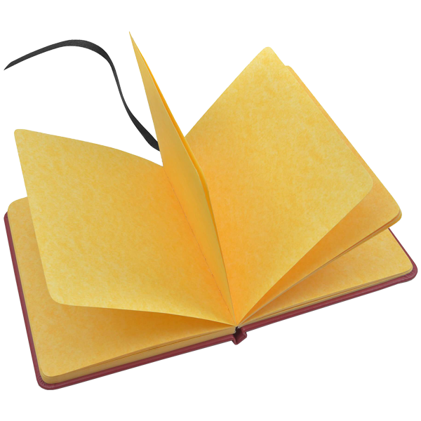 Personalised Gryffindor Embossed Notebook
